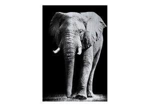 Alubrush-olifant-2.jpg