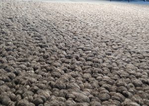 Vloerkleed-De-Munk-Casual-Allegra-detail.jpg