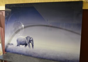 alu-art-olifant-en-zebra-2.jpg
